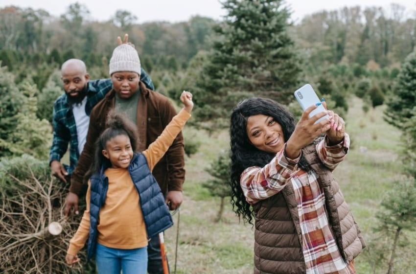 christmas tree farming